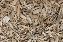 biomass boilers Copythorne